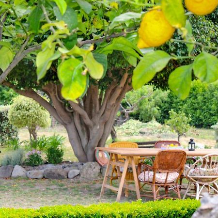 La Casa Di Lina - Capo D'Orlando, Casa Con Ampio Giardino Villa Exterior photo
