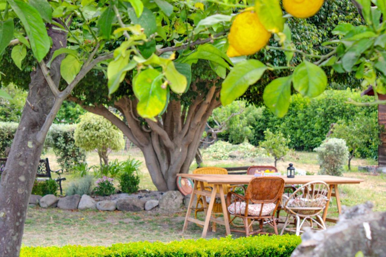 La Casa Di Lina - Capo D'Orlando, Casa Con Ampio Giardino Villa Exterior photo